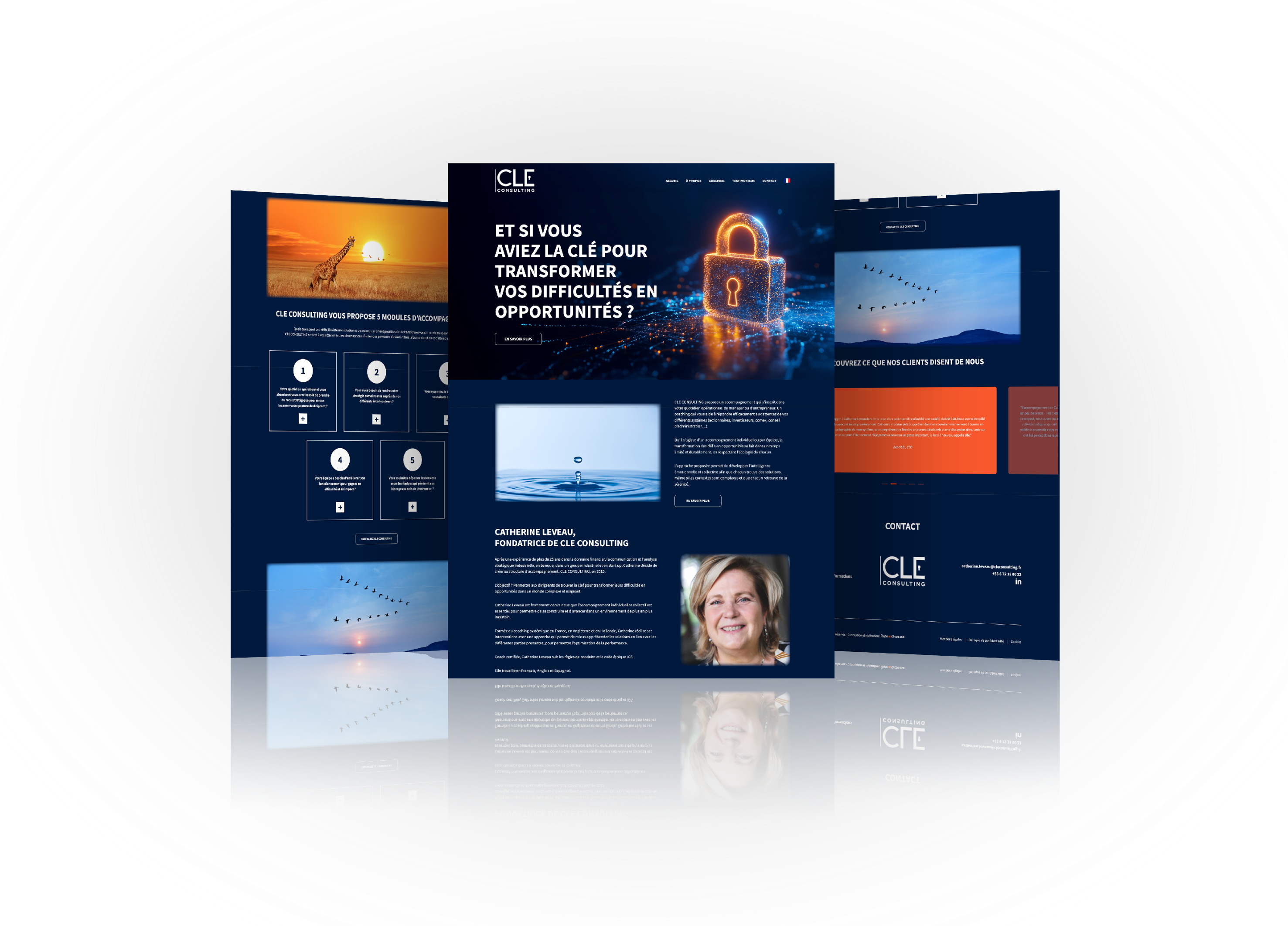 Vues de l'ensemble du site internet conçu pour Plate ou Gazeuse pour Cel Consulting
