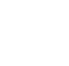 Logo Berrox Immersive